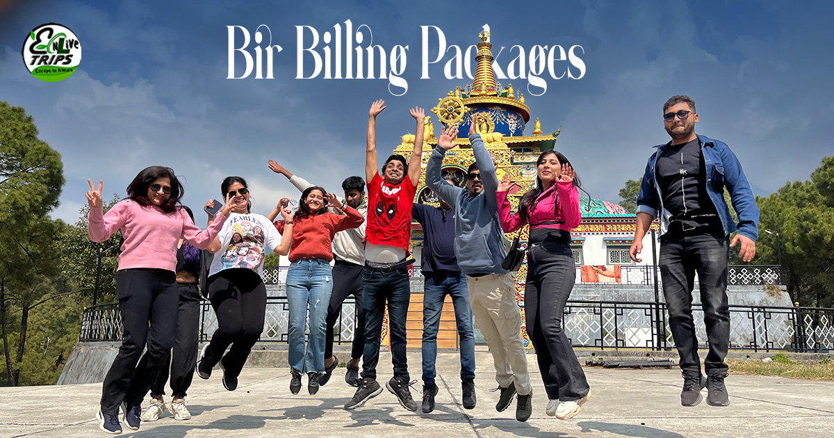 bir billing tour packages